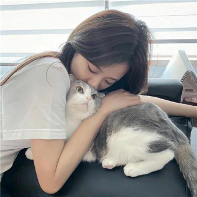白象